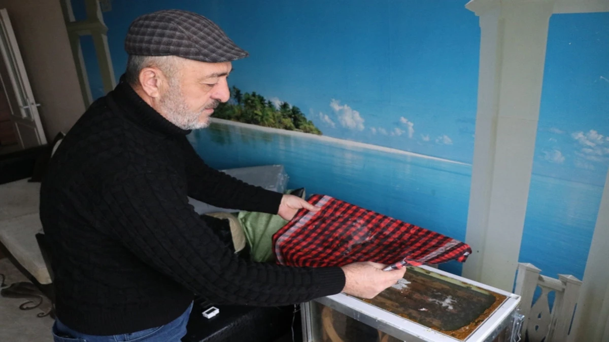 15. Katta G&ouml;renler G&ouml;zlerine İnanamıyor! Evinin Oturma Odasını Bakın Ne Hale Getirdi... 