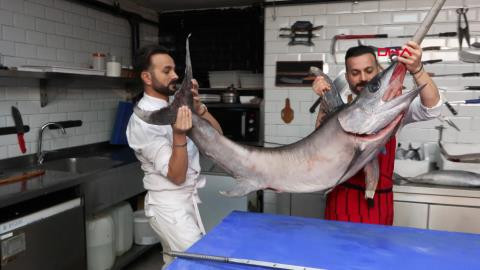 75 kiloluk kılı&ccedil; balığından cağ kebabı 