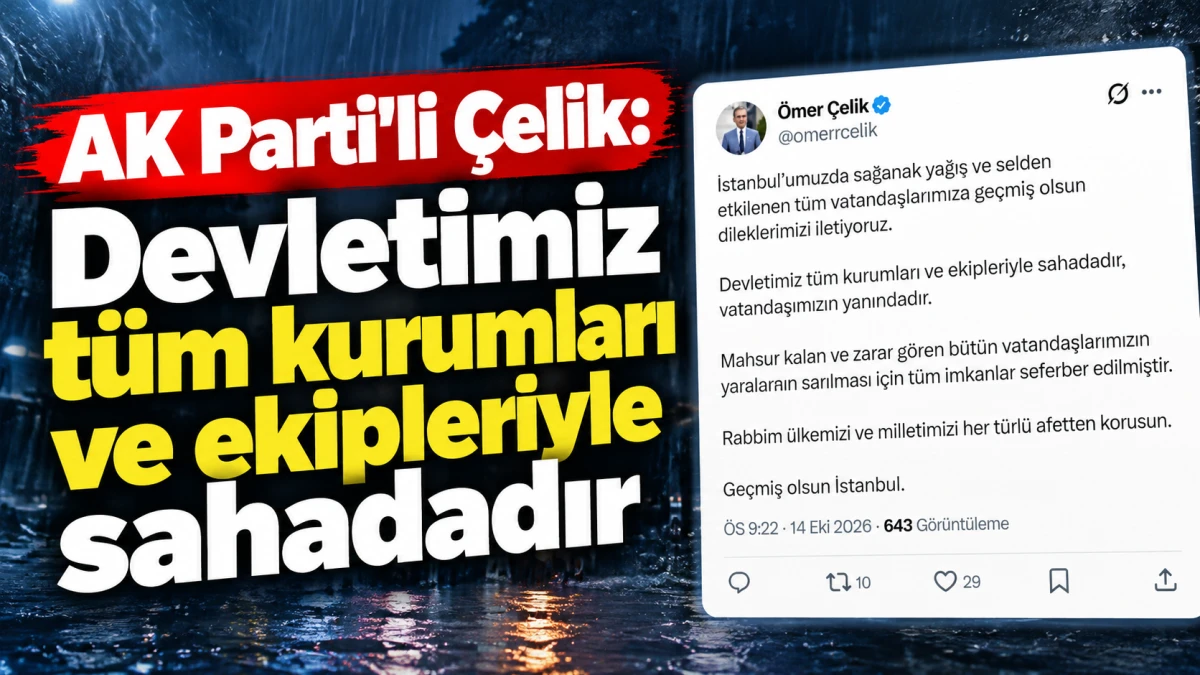 AK Parti'li &Ccedil;elik: Devletimiz t&uuml;m kurumları ve ekipleriyle sahadadır 