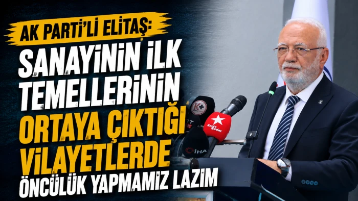 AK Parti'li Elitaş: Sanayinin ilk temellerinin ortaya &ccedil;ıktığı vilayetlerde &ouml;nc&uuml;l&uuml;k yapmamız lazım 