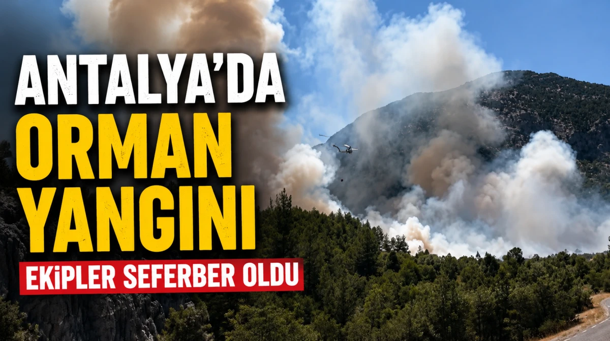 Antalya'da orman yangını 