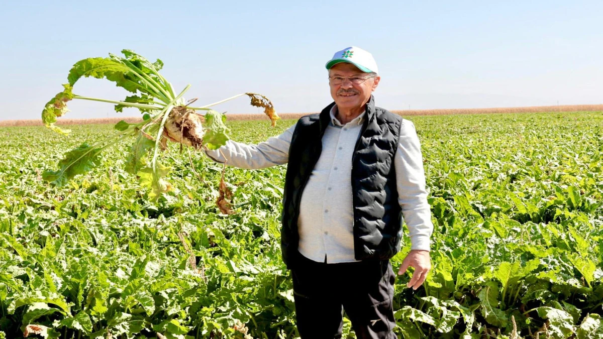 Akay: “Pancar tarımı stratejik bir değer” 