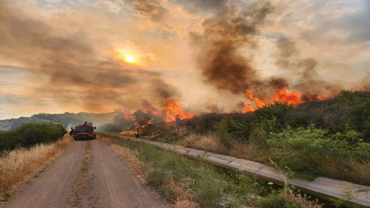 &Ccedil;anakkale'de 3 g&uuml;n s&uuml;reyle bi&ccedil;erd&ouml;ver ve balya makinesi kullanımı yasaklandı 