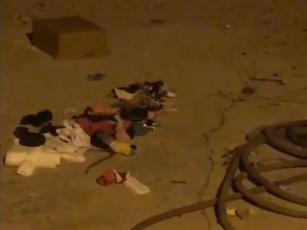 &Ccedil;ekmeceden &ccedil;ıkan yılan korkuttu 