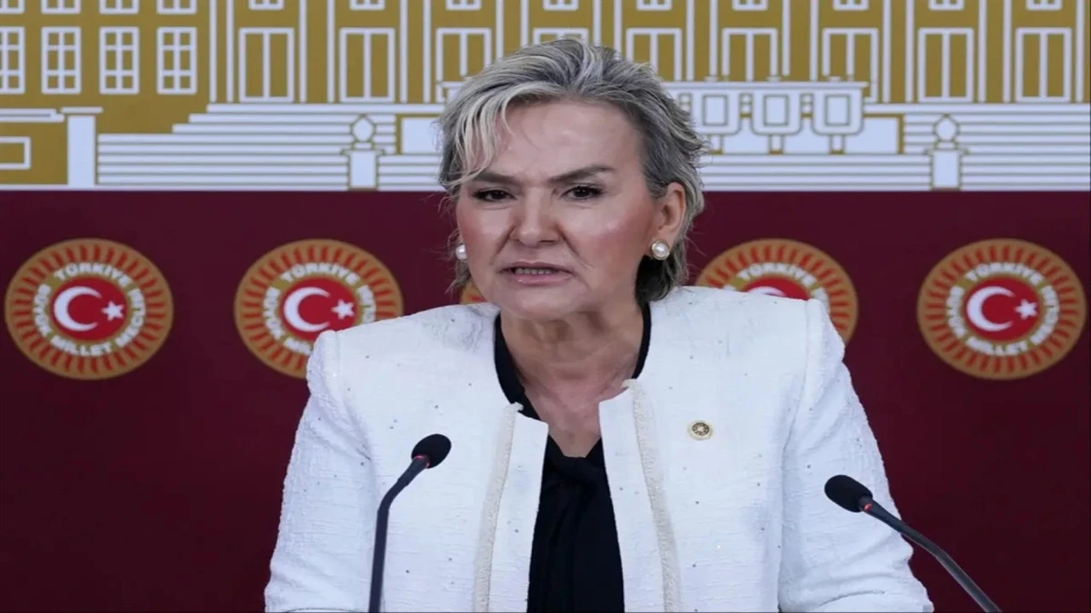 CHP İstanbul Milletvekili Nimet &Ouml;zdemir partisinden istifa etti! 