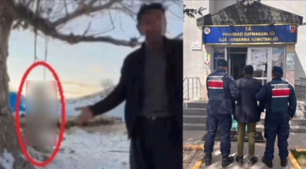 &Ccedil;ok yediğini iddia ettiği k&ouml;peğini ağaca asıp &ouml;ld&uuml;ren ş&uuml;pheli tutuklandı! 