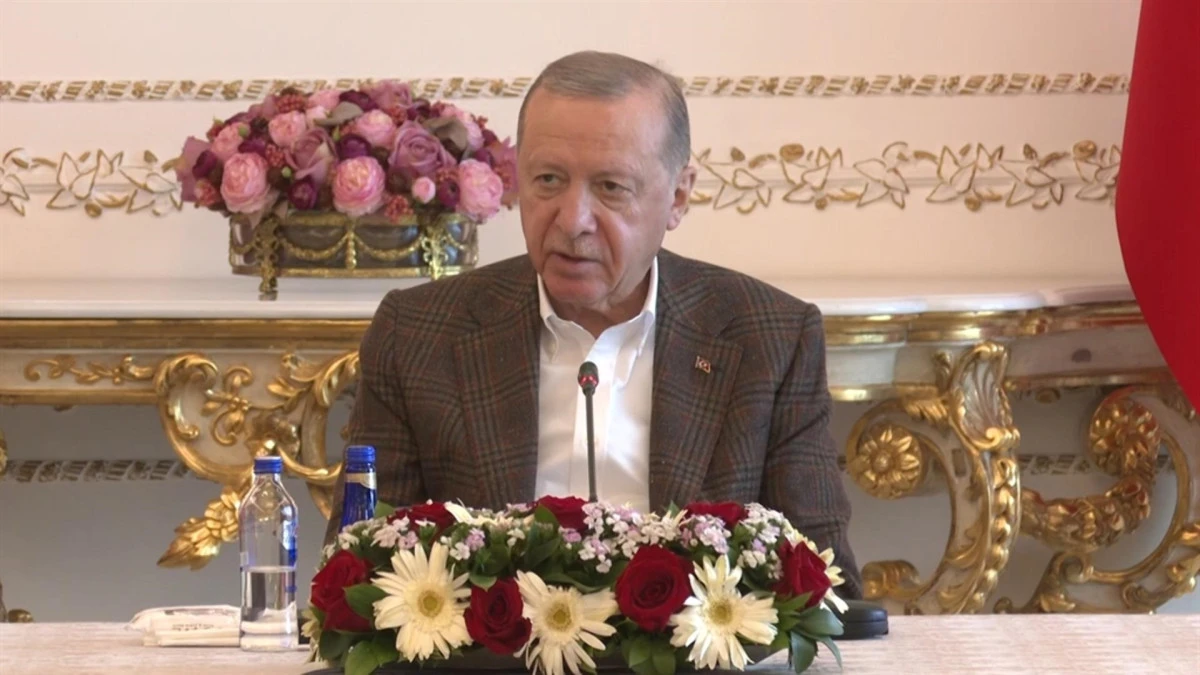 Cumhurbaşkanı Erdoğan, şampiyon güreşçileri kabul etti! 