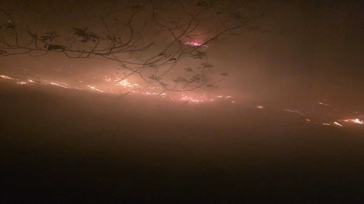 Hatay’da yıldırım düşmesi sonucu orman yangını çıktı! 