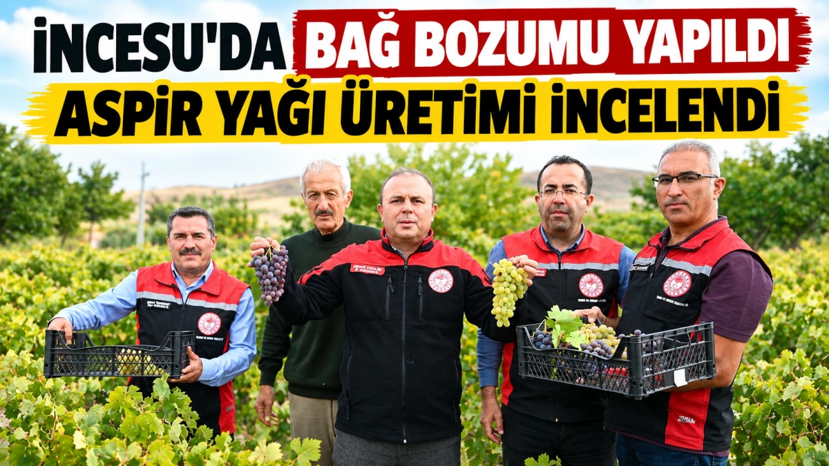 İncesu&rsquo;da bağ bozumu yapıldı, aspir yağı &uuml;retimi incelendi 