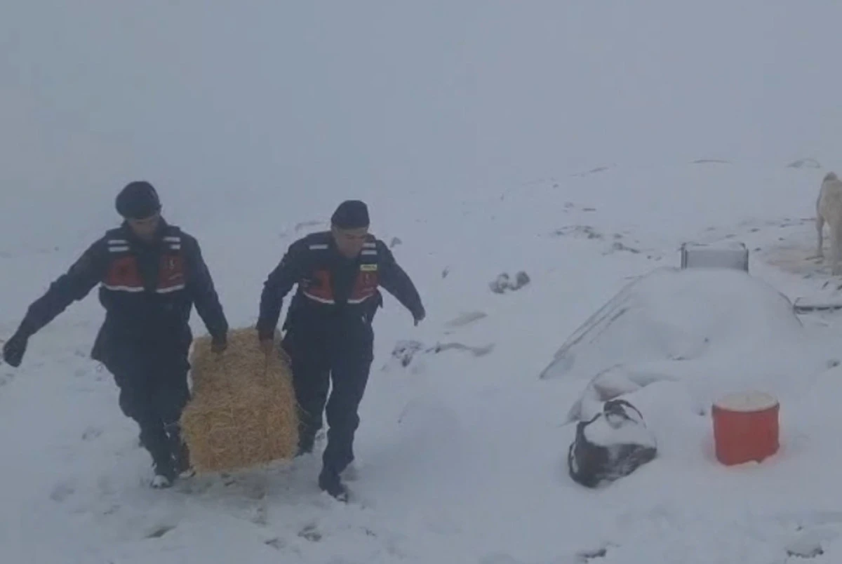 Jandarmadan karda mahsur kalan hayvanlar i&ccedil;in saman balyası 
