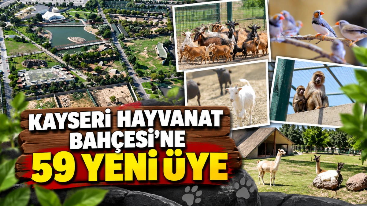 Kayseri Hayvanat Bah&ccedil;esi&rsquo;ne 59 yeni &uuml;ye 