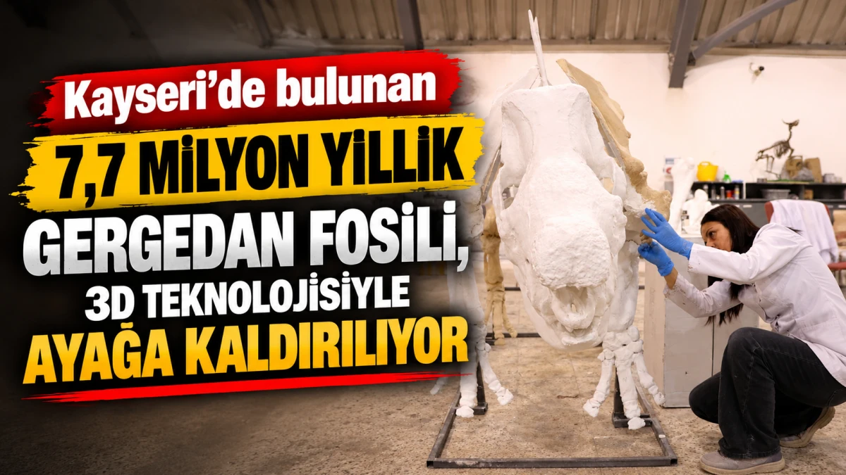 Kayseri&rsquo;de bulunan 7,7 milyon yıllık gergedan fosili, 3D teknolojisiyle ayaklandırılıyor