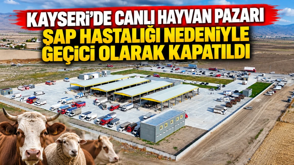 Kayseri&rsquo;de Canlı Hayvan Pazarı şap hastalığı nedeniyle ge&ccedil;ici olarak kapatıldı 