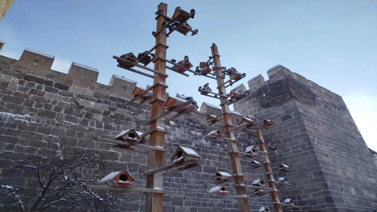 Kayseri&rsquo;de g&uuml;vercinler, dondurucu soğukta ahşap yuvalar ile korunuyor 