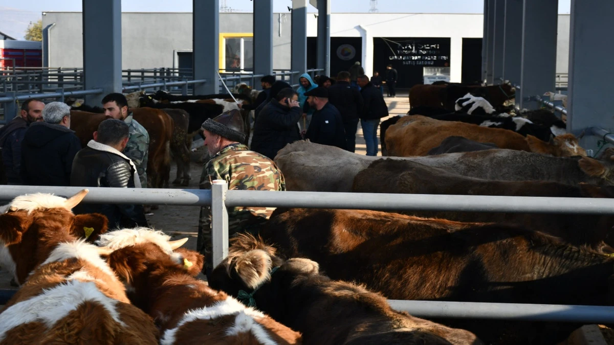 Kayseri&rsquo;de kurbanlık tavsiye fiyatları a&ccedil;ıklandı! 