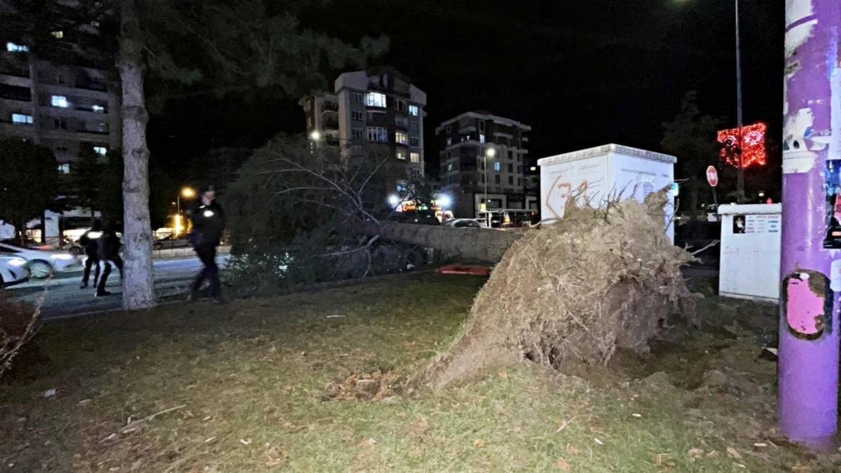 Kayseri'de kuvvetli fırtınada otomobilin &uuml;zerine ağa&ccedil; devrildi! 