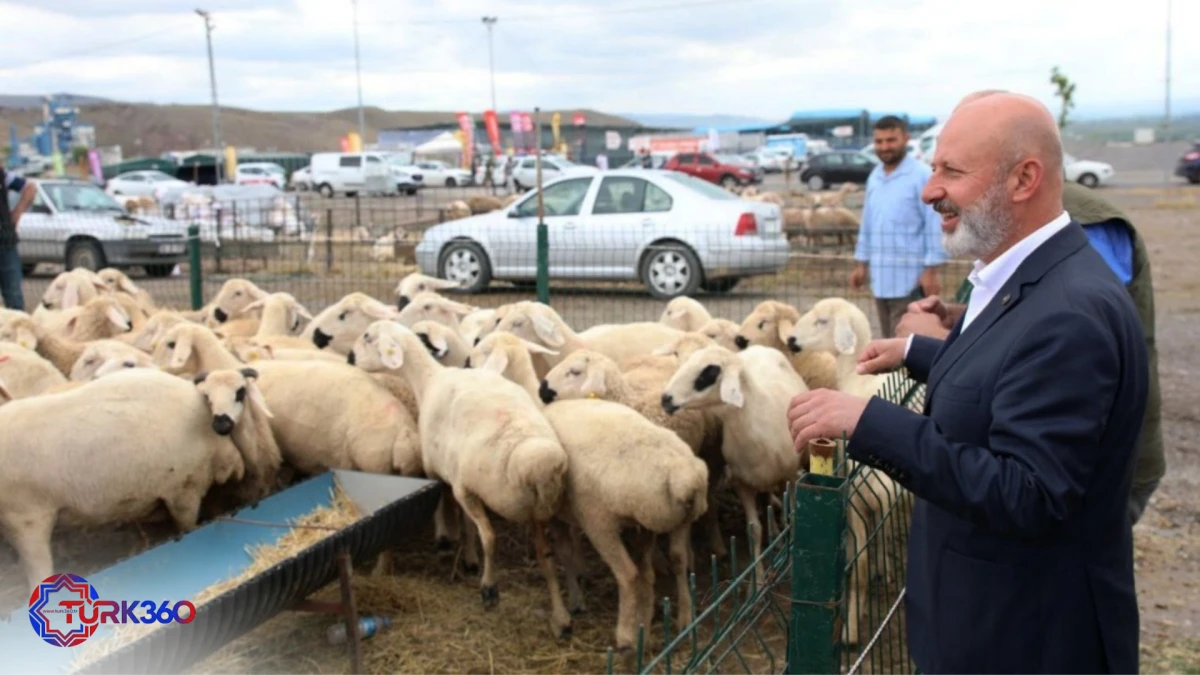 Kayseri&rsquo;de tek, T&uuml;rkiye&rsquo;ye &ouml;rnek olan profesyonel kurban hizmeti bayrama hazır 