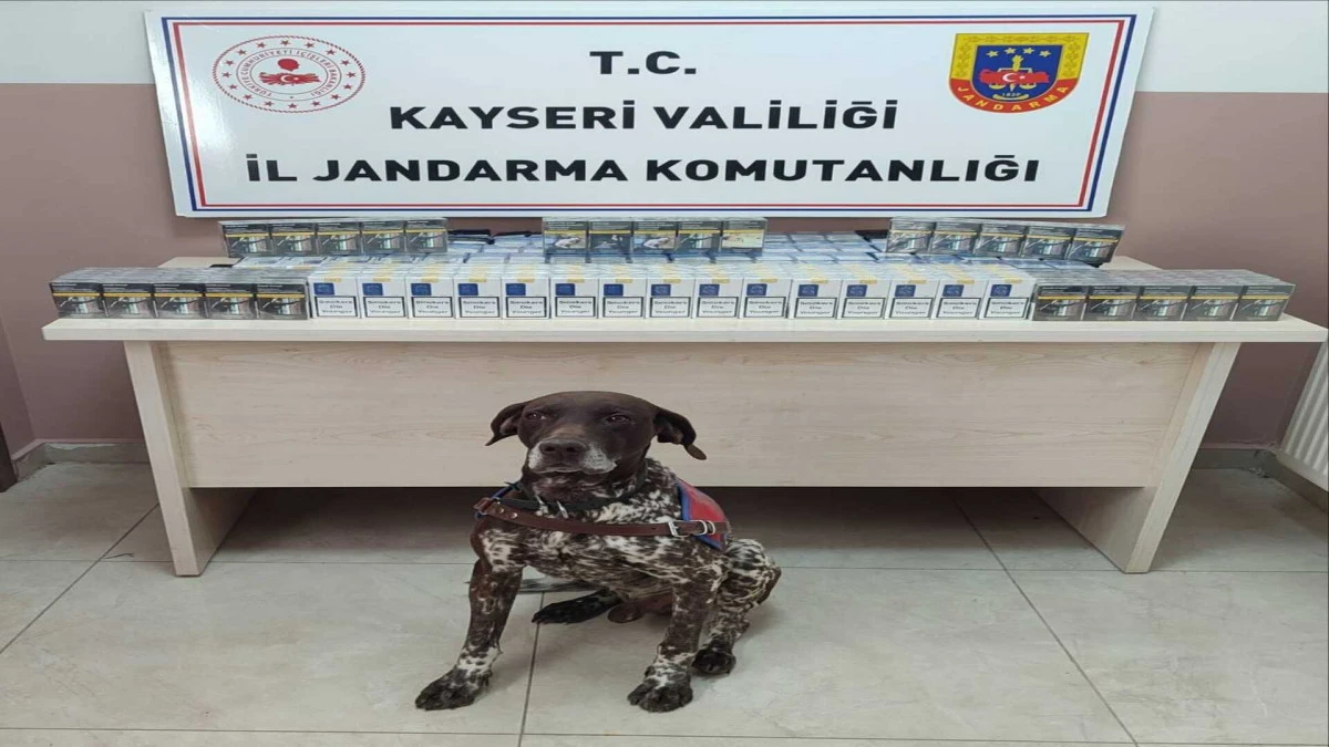 Kayseri’de Yol Kontrolünde Kaçak Sigara Ele Geçirildi 