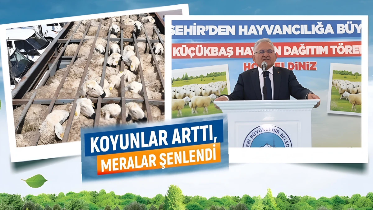 Kırsalın Y&uuml;z&uuml; G&uuml;l&uuml;yor: 150 Bin Yeni K&uuml;&ccedil;&uuml;kbaşla Meralar Şenlendi 