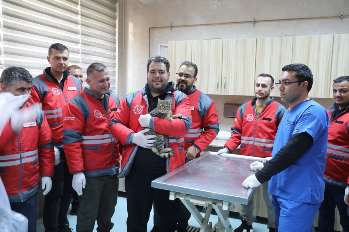 KOCASİNAN BELEDİYESİ’NDEN VETERİNERLİK PERSONELİNE SERTİFİKALI EĞİTİM 