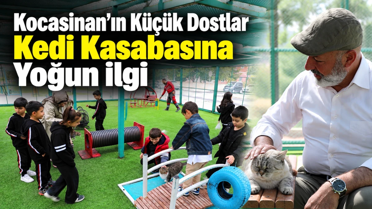 Kocasinan'ın K&uuml;&ccedil;&uuml;k Dostlar Kedi Kasabasına yoğun ilgi  