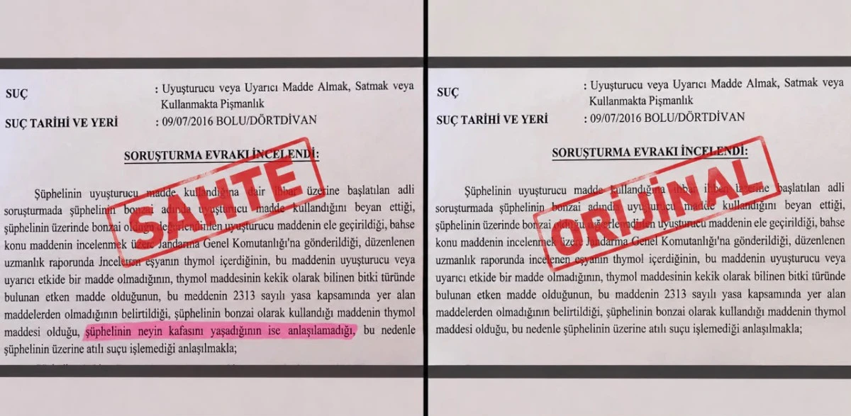 &lsquo;Neyin kafasını yaşadığı anlaşılamadı&rsquo; ifadeli savcılık kararı iddiasına soruşturma 