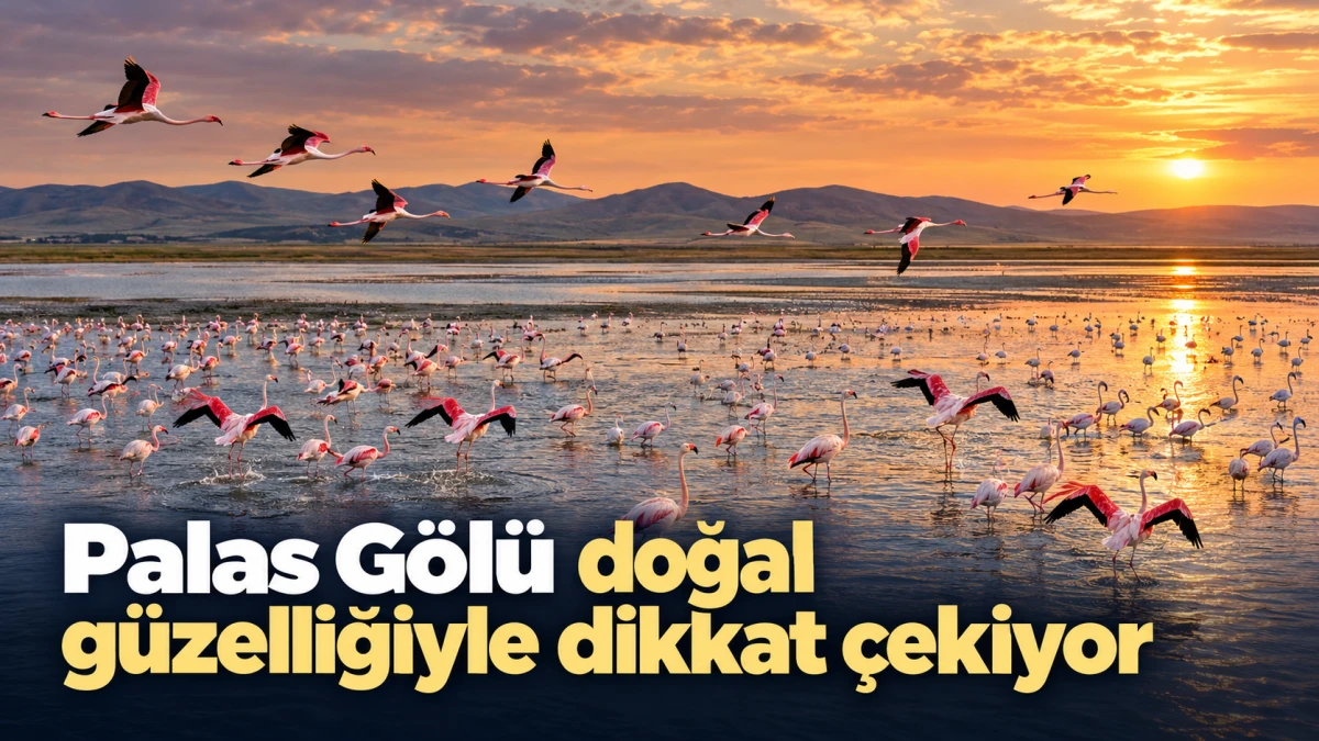 Palas G&ouml;l&uuml; doğal g&uuml;zelliğiyle dikkat &ccedil;ekiyor