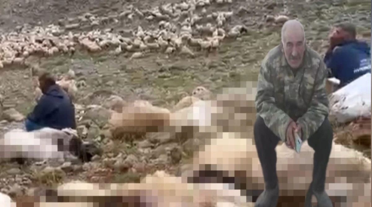 Tunceli’de yaylaya yıldırım düştü; 200 küçükbaş öldü 
