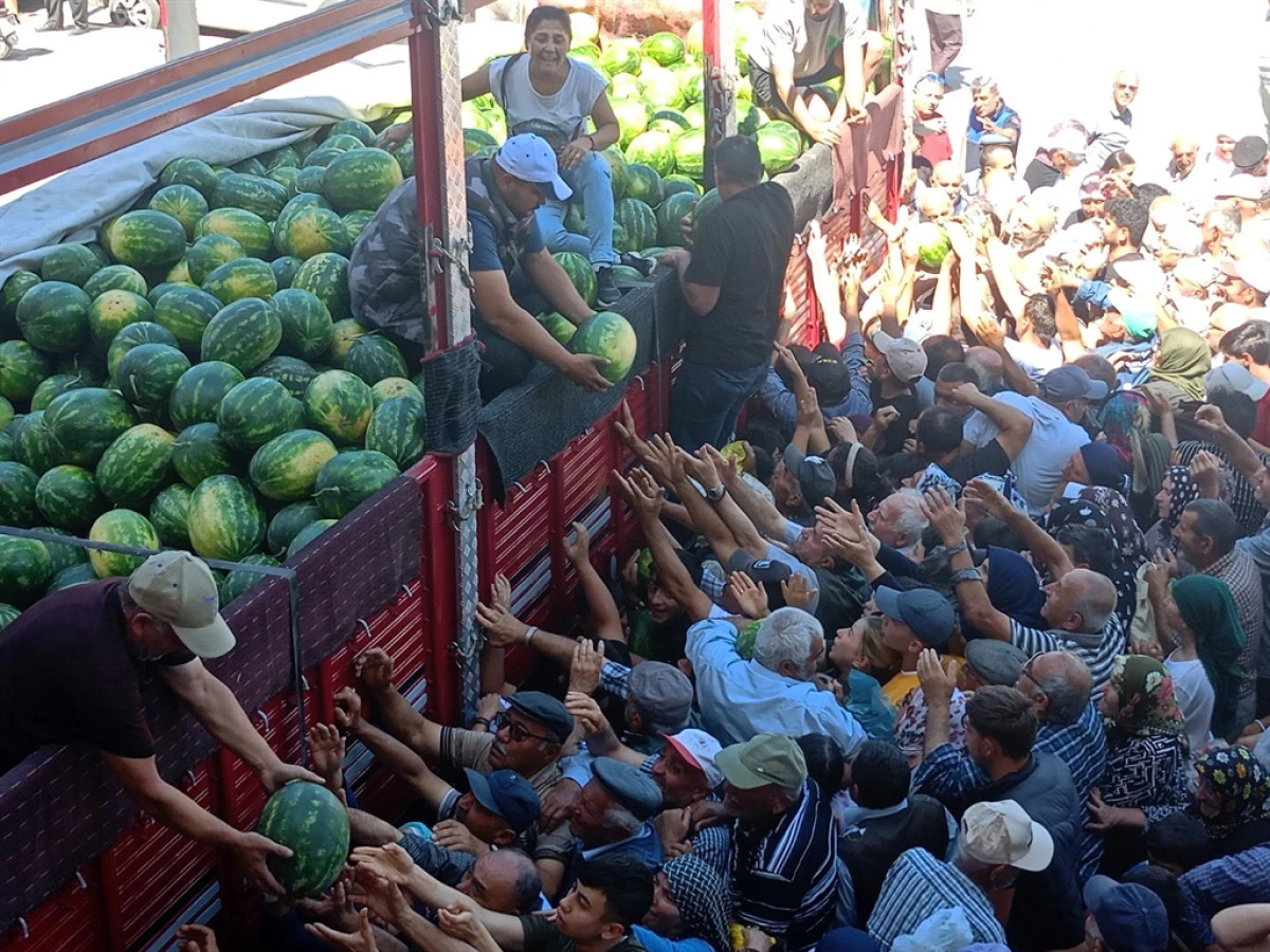 Ücretsiz dağıtılan 26 ton karpuz 45 dakikada bitti! 