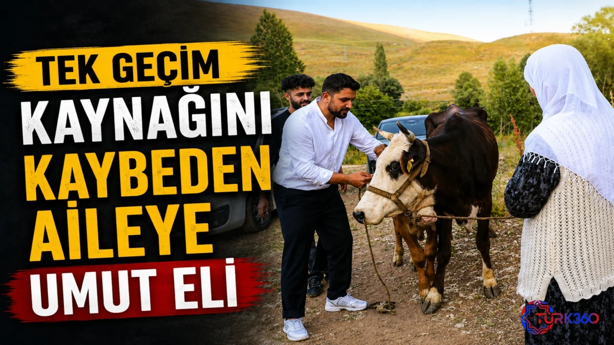 U&ccedil;uruma d&uuml;şen inekleri &ouml;len 7 &ccedil;ocuklu aileye, 2 inek ve 2 buzağı hibe edildi! 