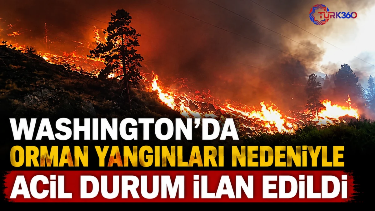 Washington&rsquo;da orman yangınları nedeniyle acil durum ilan edildi 