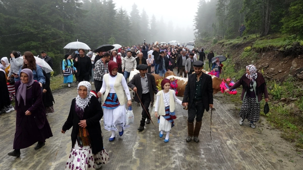 Yağmura Aldırış Etmediler: S&uuml;sl&uuml; Hayvanlar ve Y&ouml;resel Kıyafetlerle Geleneksel Yayla G&ouml;&ccedil;&uuml; Coşkuyla Yapıldı 