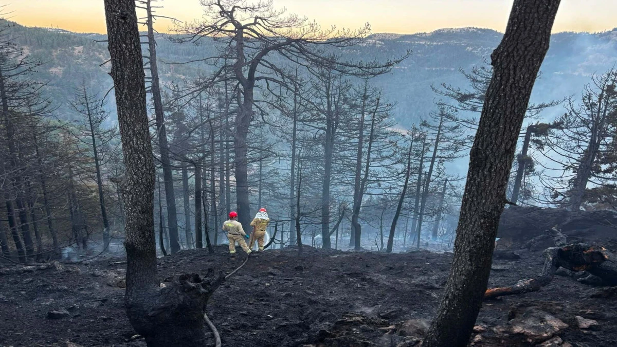 Yahyalı&rsquo;daki orman yangını s&ouml;nd&uuml;r&uuml;ld&uuml;